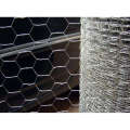 PVC coated Hexagonal Wire Mesh